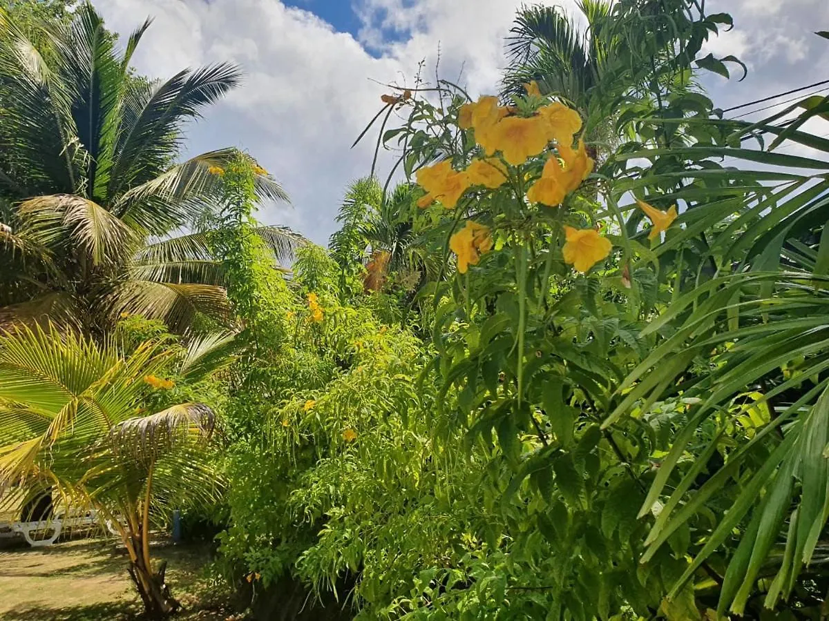 Appart hôtel Village Le Pre Terre-De-Haut Guadeloupe