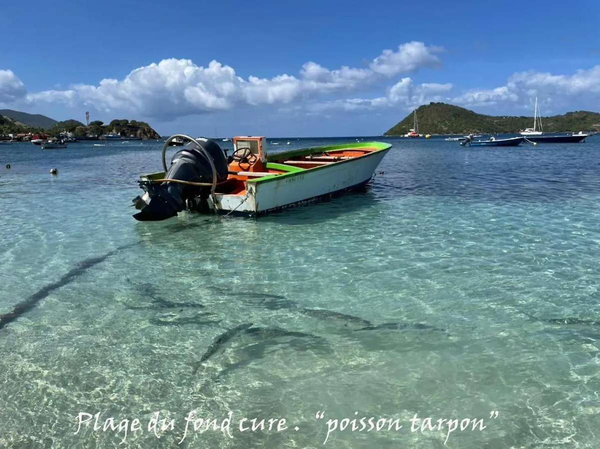 Village Le Pre Terre-De-Haut Guadeloupe